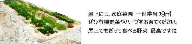 家庭菜園