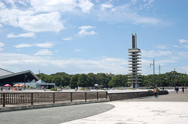 サンプル画像