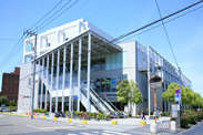 ラディッシュ 写真