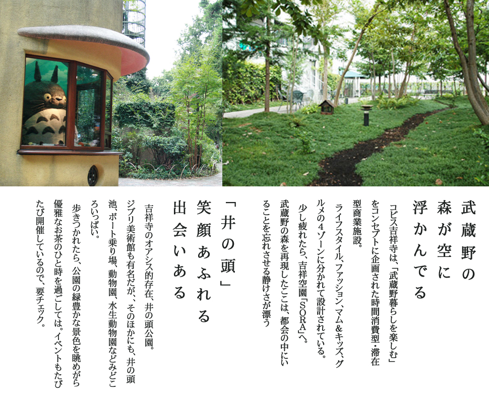 吉祥寺周辺お勧めスポット