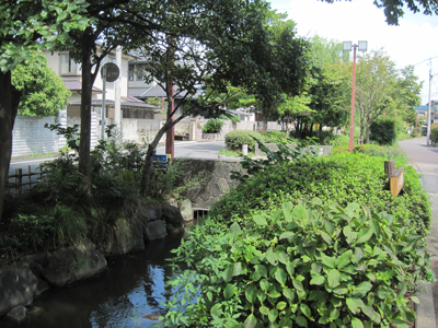 リエート近くには一之江境川親水公園があり、小川のせせらぎが聞こえます