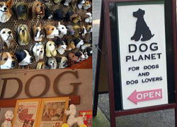 DOG PLANET