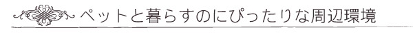 リュンヌ 周辺環境
