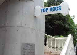 TOP DOGS等々力本店
