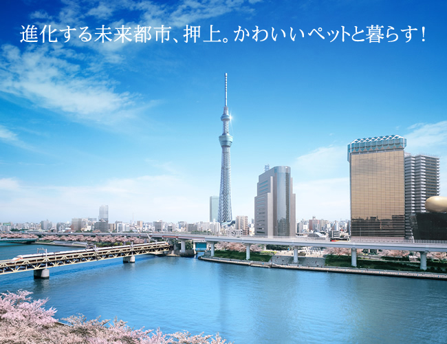 コンセプト